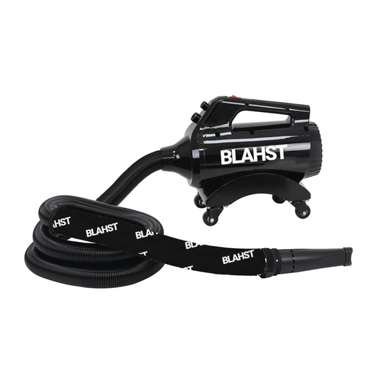 BLAHST Air Maxx dryer
