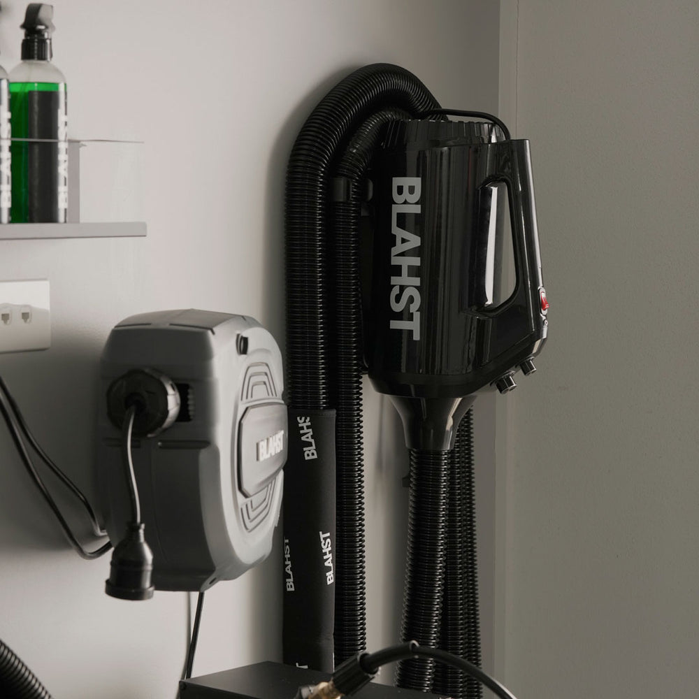 BLAHST Air Maxx dryer